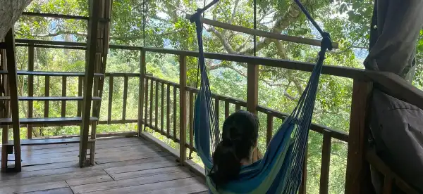 Hôtels avec petit déjeuner à Province de Bokeo, Laos