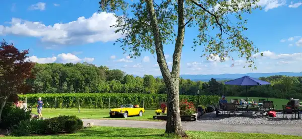 Hôtels à : Comte de Botetourt