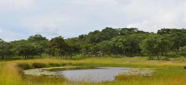 Hotels With parking in Mashonaland East, Zimbabwe