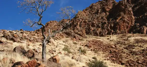 Hotel Ramah Hewan Peliharaan di Karas, Namibia