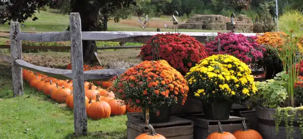 Hotels in Fryeburg