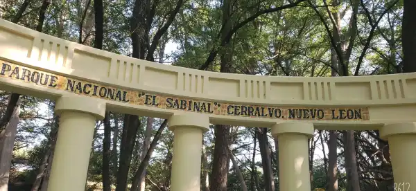 Hotels in Apodaca