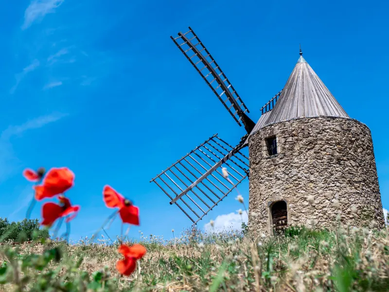 Grimaud