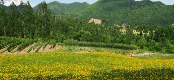  Habitaciones en casas particulares en Jiangxi, China