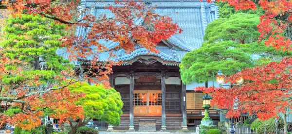 Hotels in Izu