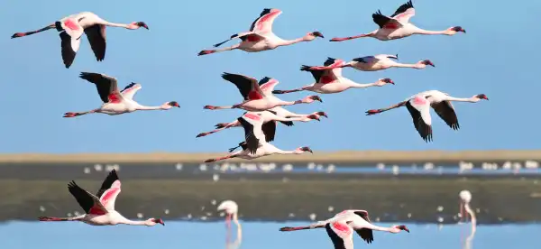 Hotels in Walvis Bay