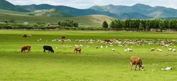 Romantic Hotels in Inner Mongolia, China