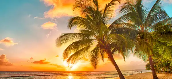 Hotels mit Pool in Barbados