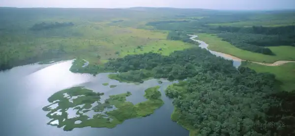 Hoteles de que admiten mascotas en Gabón