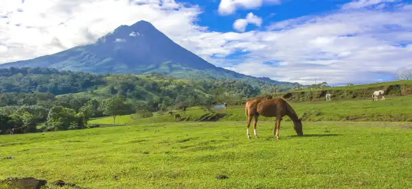 Hotels mit Bar in Provinz Heredia, Costa Rica
