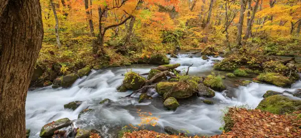 Yüzme Havuzu İçeren Aomori ili, Japonya Otelleri