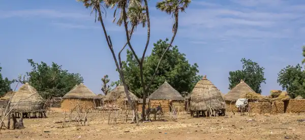 Pet Friendly Hotels in Nigeria