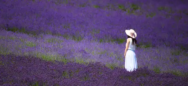 2-Star Hotels in Hokkaido, Japan