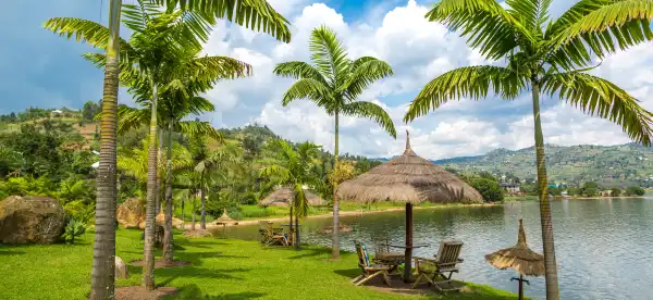 Khách Sạn Thân thiện với thú cưng Tại Rwanda