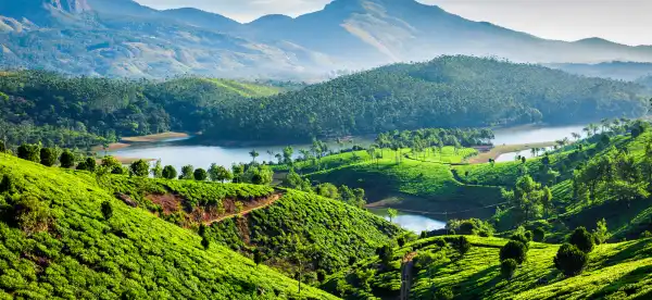 Các khách sạn ở Munnar