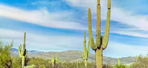 Hotel di Tucson