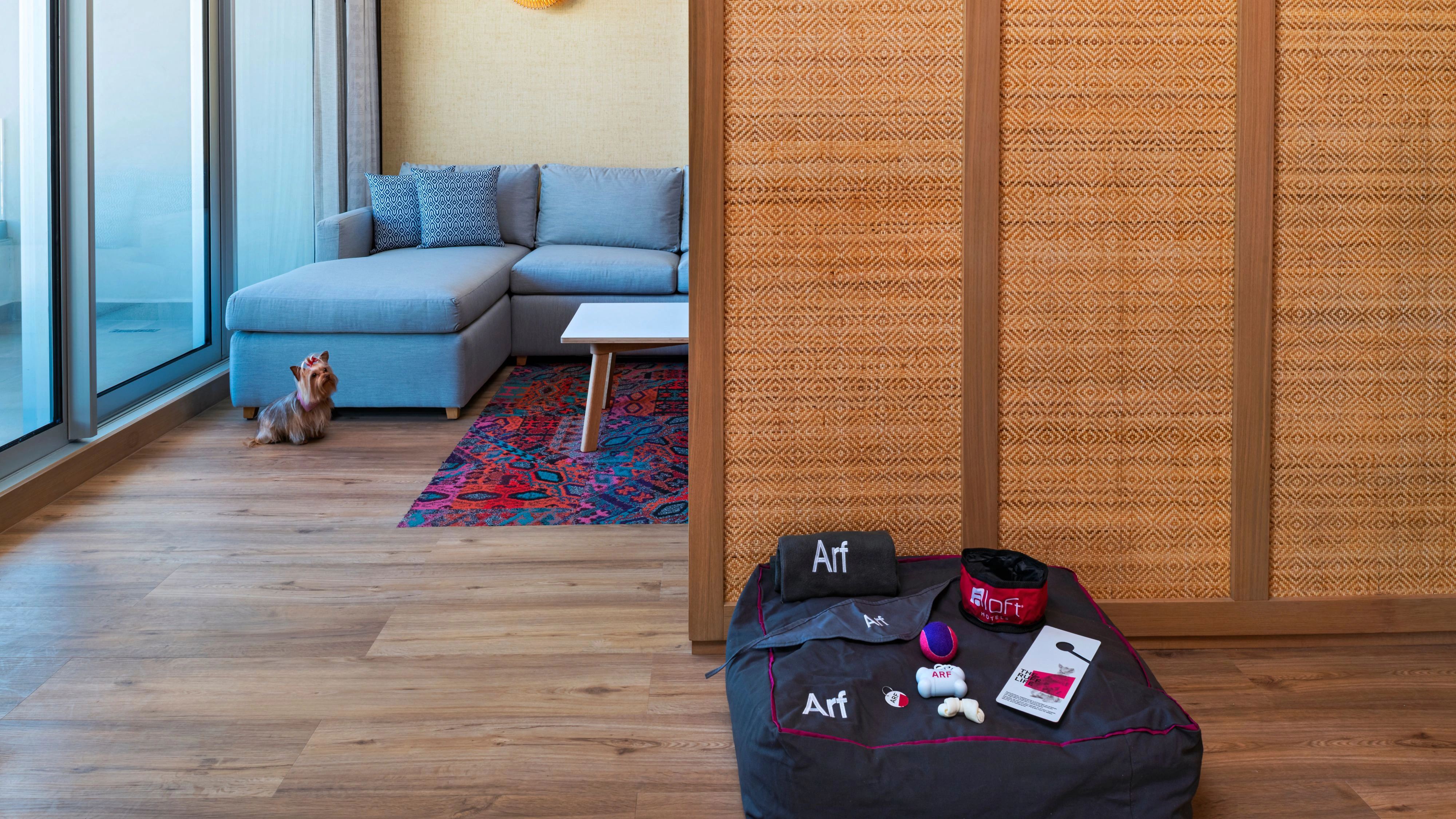 泳池层，套房，1张特大床，阳台