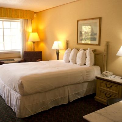 大床房-無障礙 澳蓋拉拉温德姆旅客之家優惠