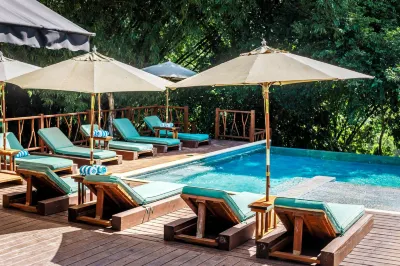 Sweet Songs Jungle Lodge Hotels in 