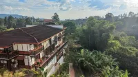 Coffee Tree Boutique Hostel Hotel a 
