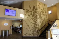 Sleep Inn
