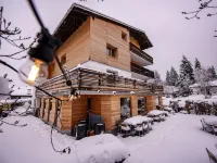 Flem Mountain Lodge Hoteles en Flims