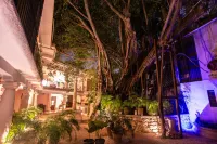 Acqua in Bocca Hotels in 