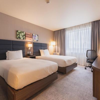 豪華雙床房-高層 伯明翰機場希爾頓花園酒店優惠