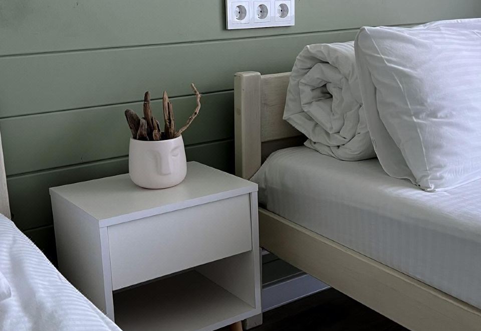 标准房，2张单人床