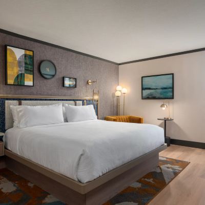 One-Bedroom King Suite-Mobility Accessible Drury Inn & Suites Detroit Troy Promo Code