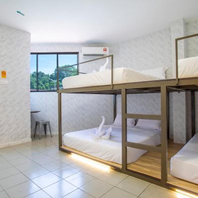 Family Kupon Lazy Cat Home