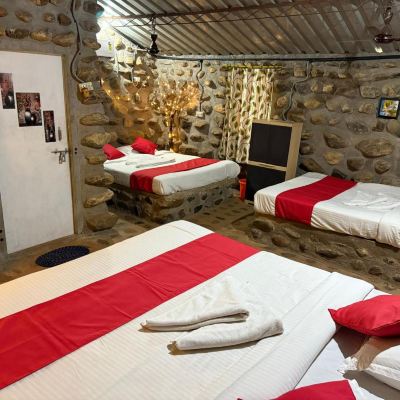 Standard Double Room with Fan Jungle Book Promo Code