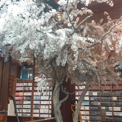 패밀리 스위트 더레드하우스 쿠폰