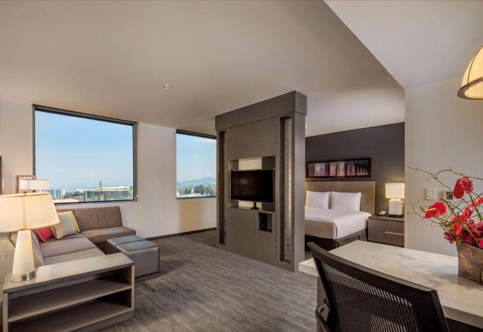 一室特大床房（带厨房，梳化床）