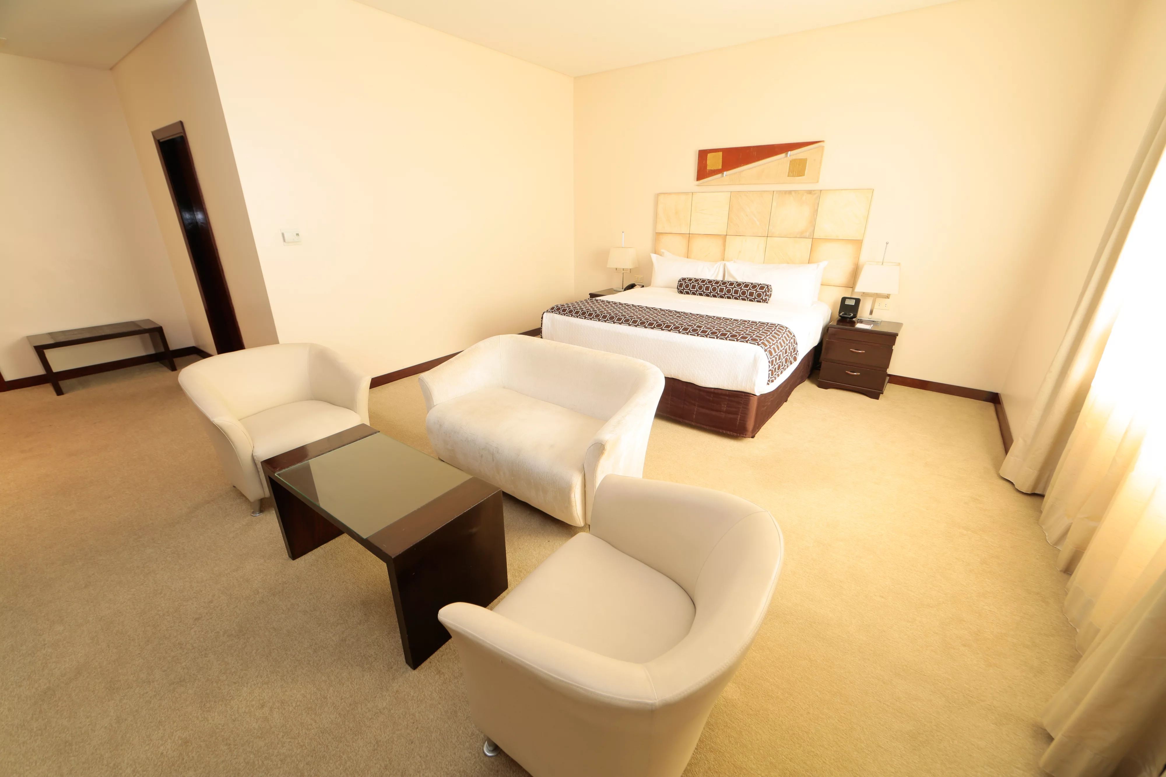 一卧室特大床套房