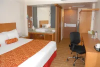 Aranzazu Centro Historico Hotels in 