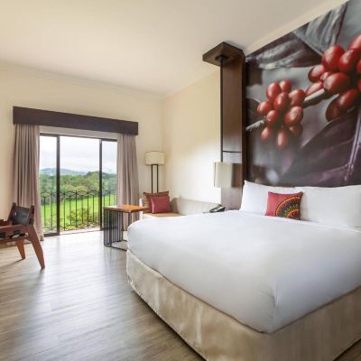 特大床房 哥斯達黎加貝倫牧場萬豪酒店優惠