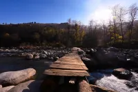 Zostel Dobhi, Manali