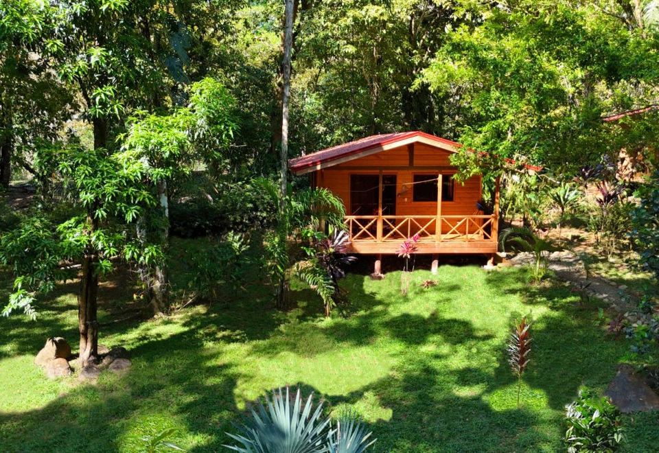 Hotel Cabinas Costa Tropicana, Exterior, Garden