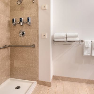 Room, 1 Double Bed (Mobility Accessible, Roll-in Shower) Four Points by Sheraton - San Francisco Bay Bridge Promo Code