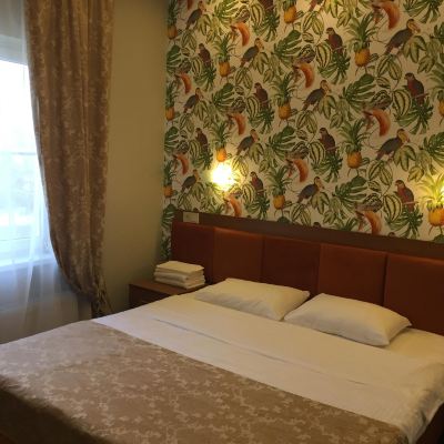 Standard Superior Room With 1 Double Bed Hotel Andorra Promo Code