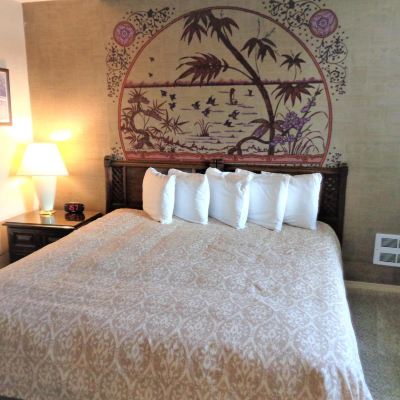 1 Bedroom, 1 King, Non-View, No Pets The Polynesian Resort Promo Code