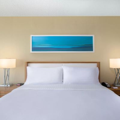King Suite Holiday Inn Resort Aruba - Beach Resort & Casino Promo Code