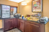 Days Inn by Wyndham le Roy/Bloomington Southeast Hotele w: 