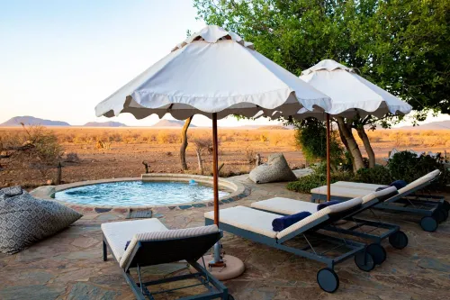 Last Word Madikwe