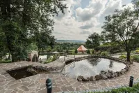 Hotel Park Rodnik