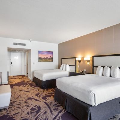 Queen Room Hotel Zoso Promo Code