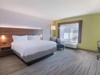 Holiday Inn Express & Suites MOBILE - UNIVERSITY AREA by IHG Hotels in Mobile