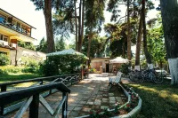 Pitsunda Hotel Hotels in 