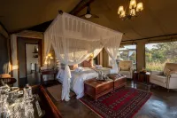 Safari Plains Hotels in 